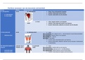 Anatomie spieren (origo, insertie) ,functie, innervatie.