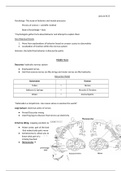 Psy: 1001 Thunhorst Elementary Psychology Material for Exam 1