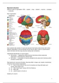Summary Neurobiology