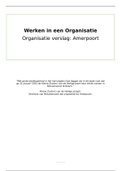 Theorie en vaardigheden: Werken in een organisatie verslag. Cijfer 8