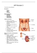 Anatomie Leerjaar 3, periode 3. 