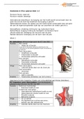 Anatomie in Vivo spieren blok 1.2
