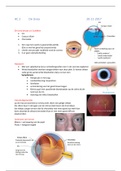 ocularie anatomie HC2 Uvea