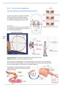 oculaire anatomie HC8 extrensieke oogspieren