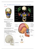 oculaire anatomie HC9 de schedel en de sinus paranasales