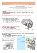 College 4 anatomie zenuwen hoofd-hals gebied