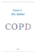 Beroepsprestatie 3.1 Casus COPD