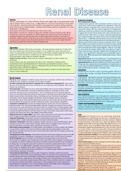 Renal Revision Posters