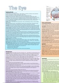 Opthalmology Revision Posters
