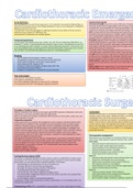 Cardiothoracic Revision Posters