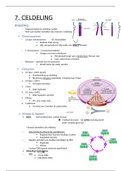 Celbiologie - hoofdstuk celdeling