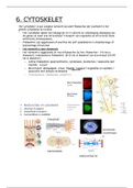 celbiologie - hoofdstuk cytoskelet