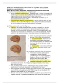 Hersenen en Cognitie bundel hoofdstukken uit het boek voor DTT 1 en DTT2 