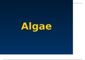 Algae: Introduction and classification