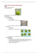 Microbiology Lab Midterm Practical Study Guide 