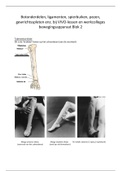 Samenvatting theorie en praktijk van vak "Bewegingsapparaat"