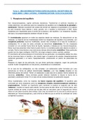 Mecanorreceptores especializados. Fisiología Animal. 