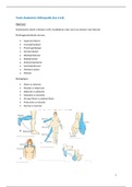 TLP4 anatomie orthopedie