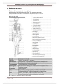 Samenvatting - Biologie (bvj) - HAVO/VWO 1 - thema 5 - stevigheid en beweging (compleet)