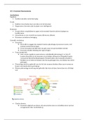 HC 2 Functional Neuroanatomy