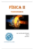 Trabajo final Física II - Universidad de Almería - Nota 10