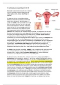 Pathologie van het vrouwelijk voortplantingsstelsel