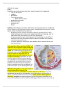 Pathologie van de longen