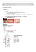 Gebitsontwikkeling en orthodontie - samenvatting