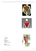 Anatomie in Vivo blok 1.2 Bovenste extremiteit