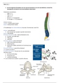 Blok 1C MSA; Anatomie CO.1 t/m CO.4  (kt msa)