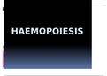 Haemopoiesis