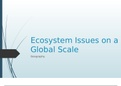 Geography (Ecosystems) - Ecosystems on a Global Scale