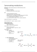 Samenvatting Moleculen deel 2. Metabolisme