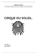 Leisure Strategy Cirque du Soleil