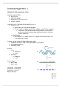 Genetica 2 Thema 10, DNA