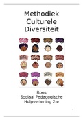Culturele Diversiteit - TOPOI Model, jaar 2 , p1