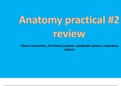 A&P practical review