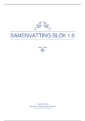 Samenvatting Blok 1.6
