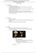 Dinosaur Final Exam Study Guide