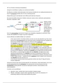 HC 9 en 10 metabolisme eiwitmetabolisme en regulering en integratie van het metabolisme in de cel