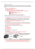 Midterm Exam &num;3 Virology