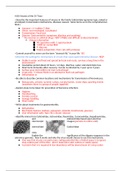 Midterm Exam #3 Virology