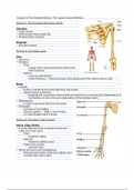 Chapter 8 | The Skeletal System: The Appendicular Skeleton 