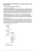 Samenvatting Psychodiagnostiek: het onderzoeksproces in de praktijk - Witteman et al. 