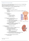 hoofdstuk 18 - het urinair stelsel