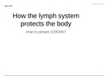 Task 6 Unit 11 Assignment 3- Physiology of Human Body Systems