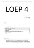 Samenvatting en uitgewerkte bart-vragen LOEP 4 D2