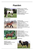 Rassenmap paarden