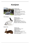 Rassenmap konijnen