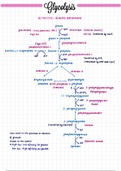 Carbohydrate metabolism - Glycolysis summary 